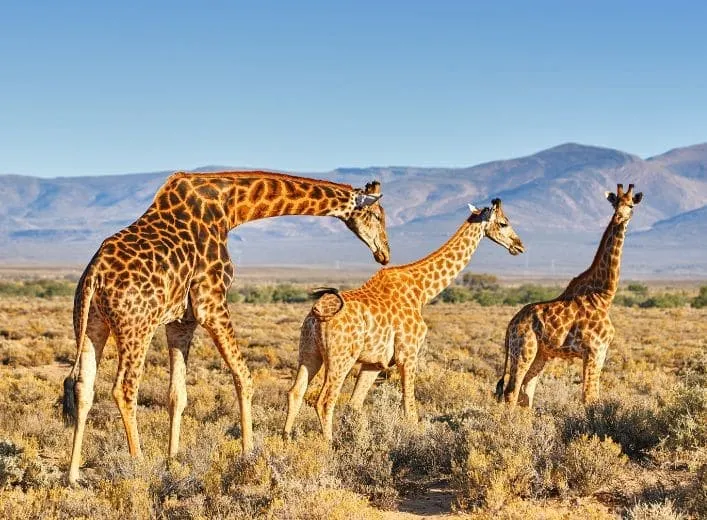 Travel destination slide 2